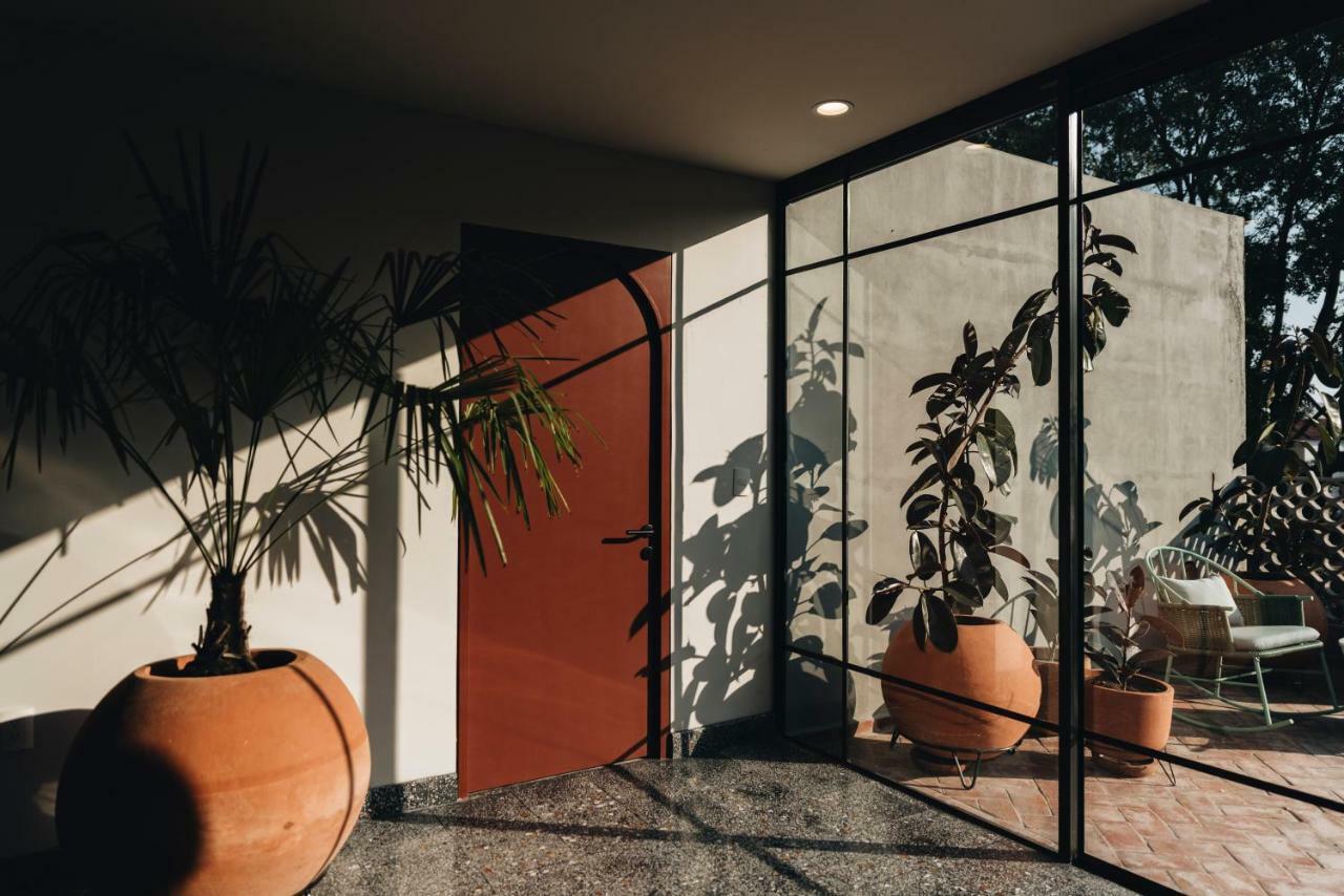Casa Ixaya By Barrio Mexico Hotel Guadalajara Ngoại thất bức ảnh