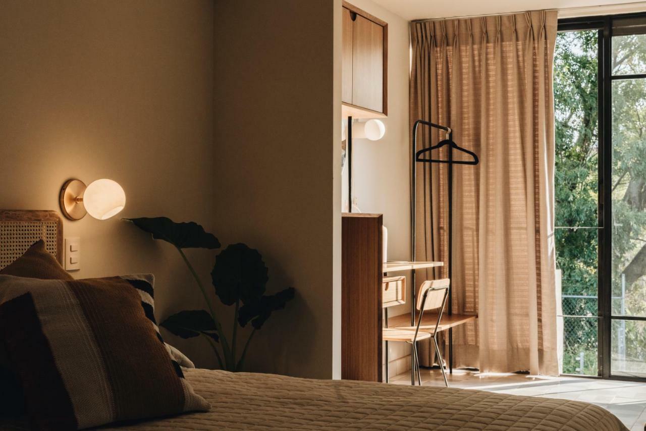 Casa Ixaya By Barrio Mexico Hotel Guadalajara Ngoại thất bức ảnh